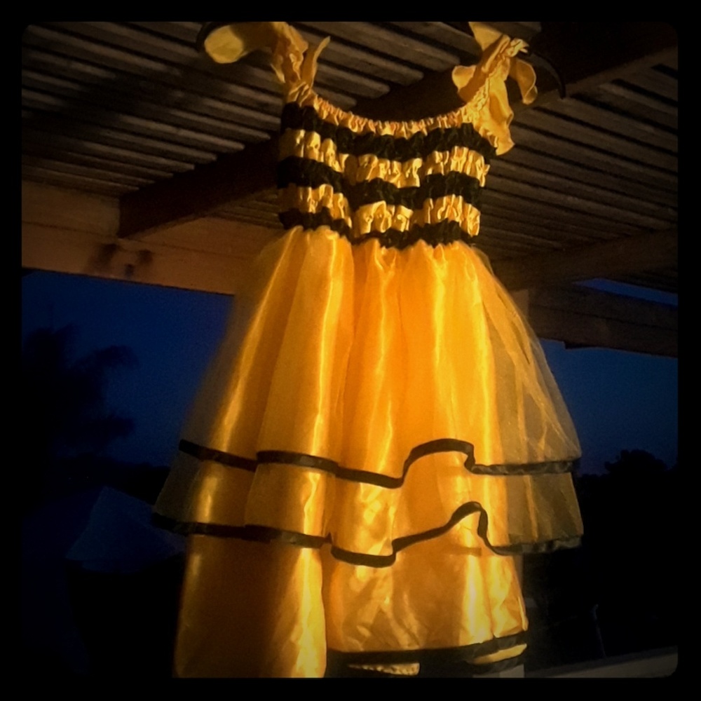 *SOLD* Bumble Bee Costume